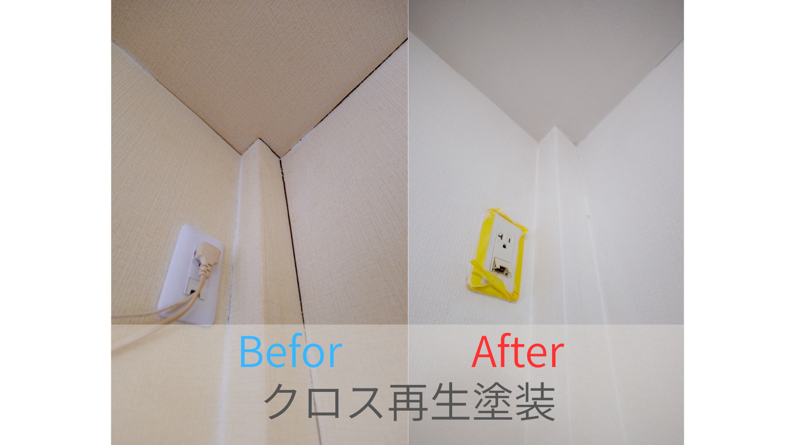 色の差が明確になるの画像